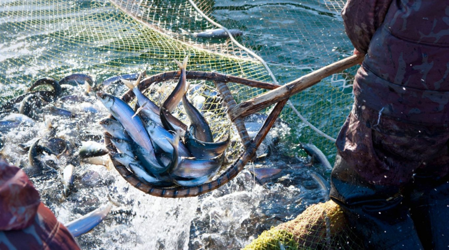 Правила безопасности во время осенней рыбалки